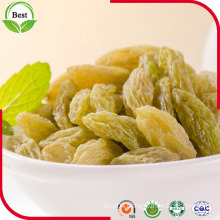 Great Quality Green Raisins for Export